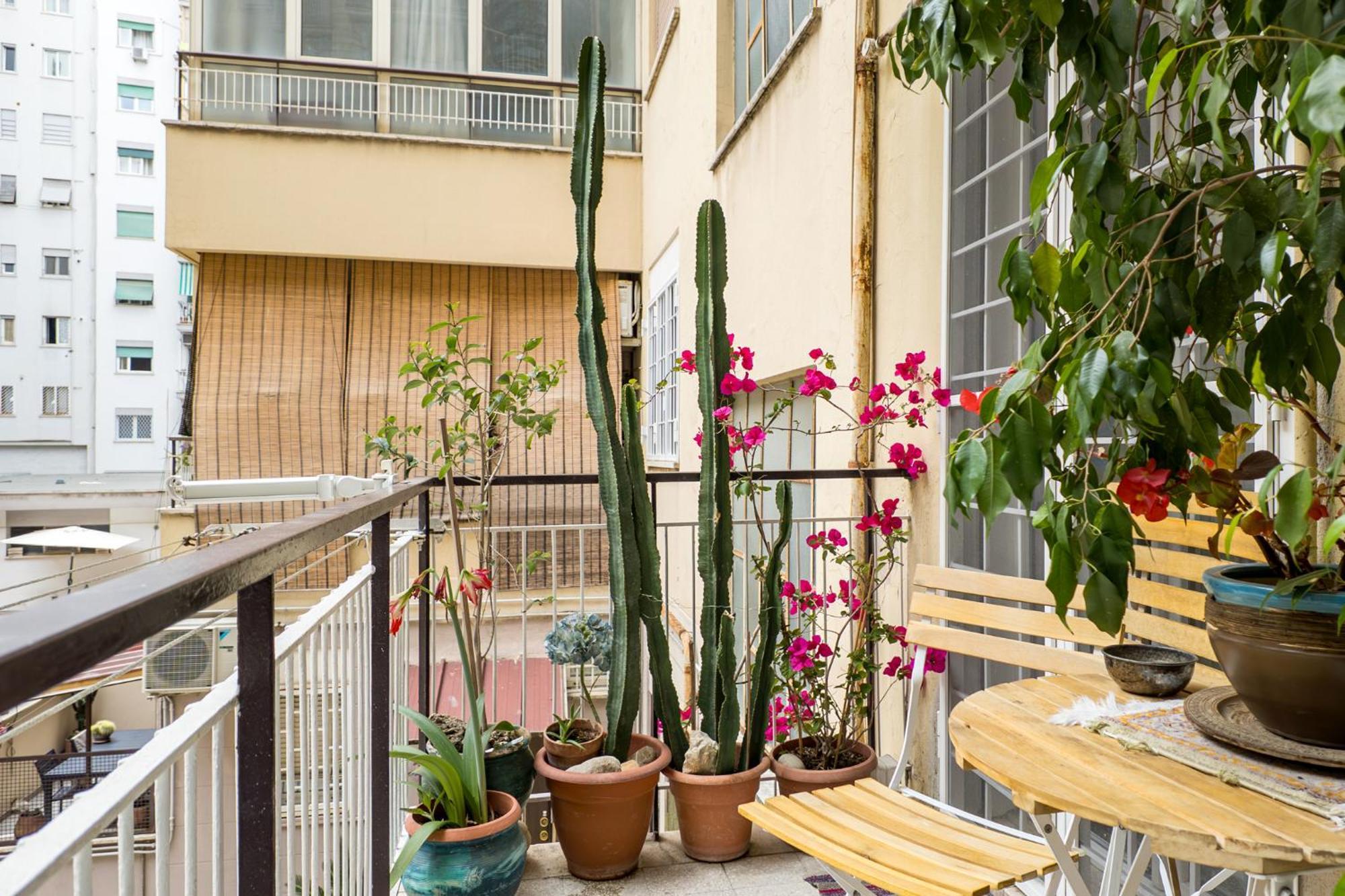 Apartamento Centro Roma